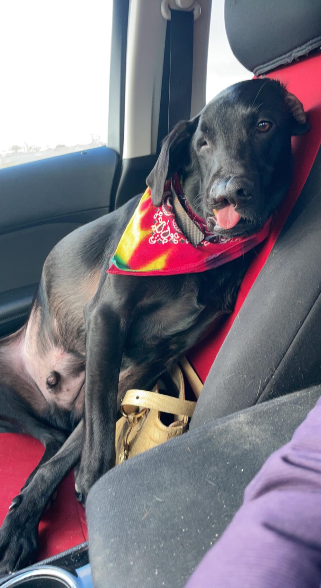 It&rsquo;s Felix Friday!!!!