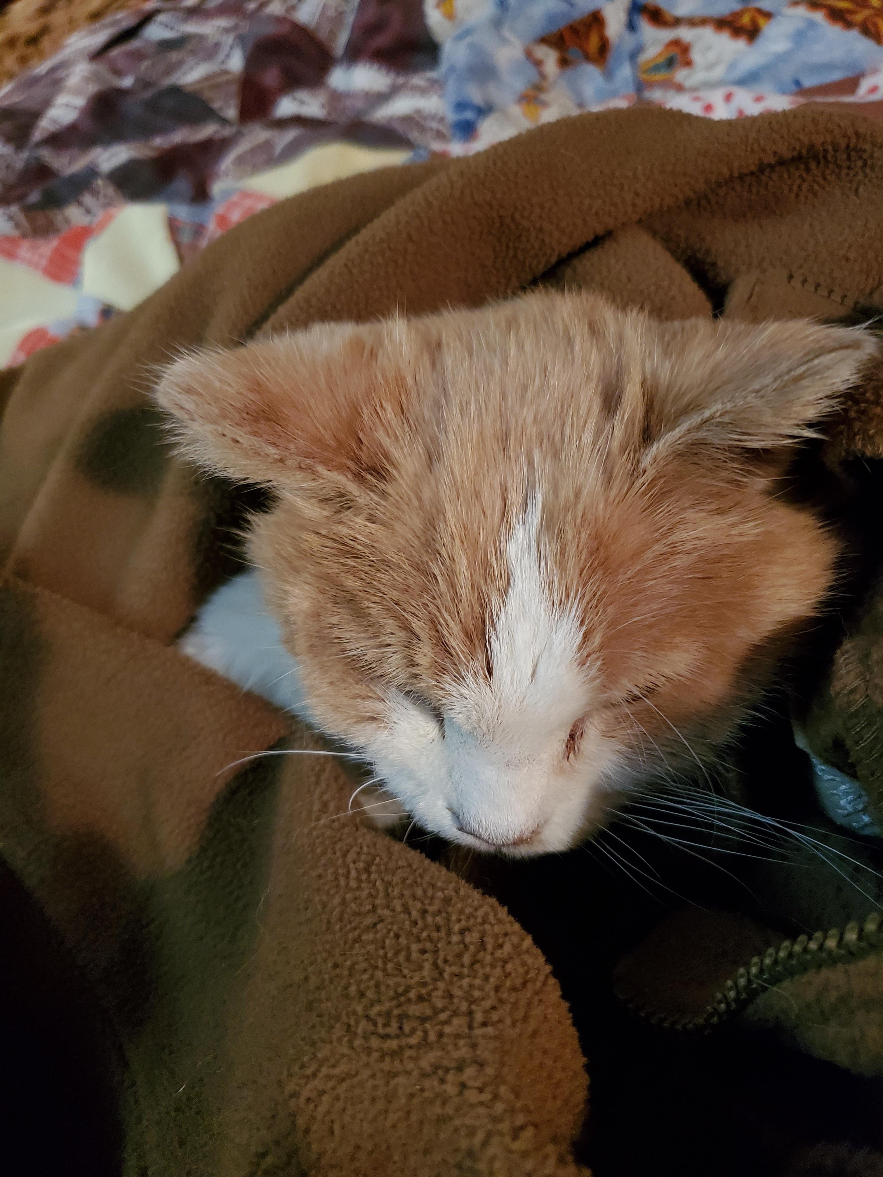 She's passing.
