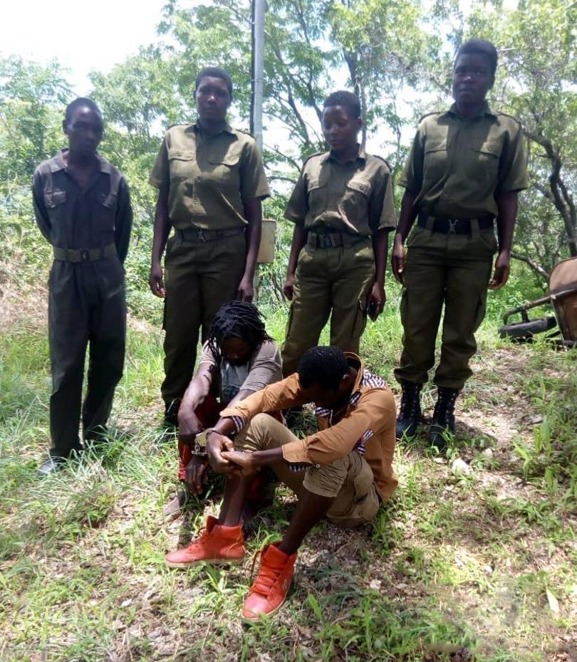 Poachers Caught Red-Handed By An All-Female Unit Of Rangers In Zimbabwe