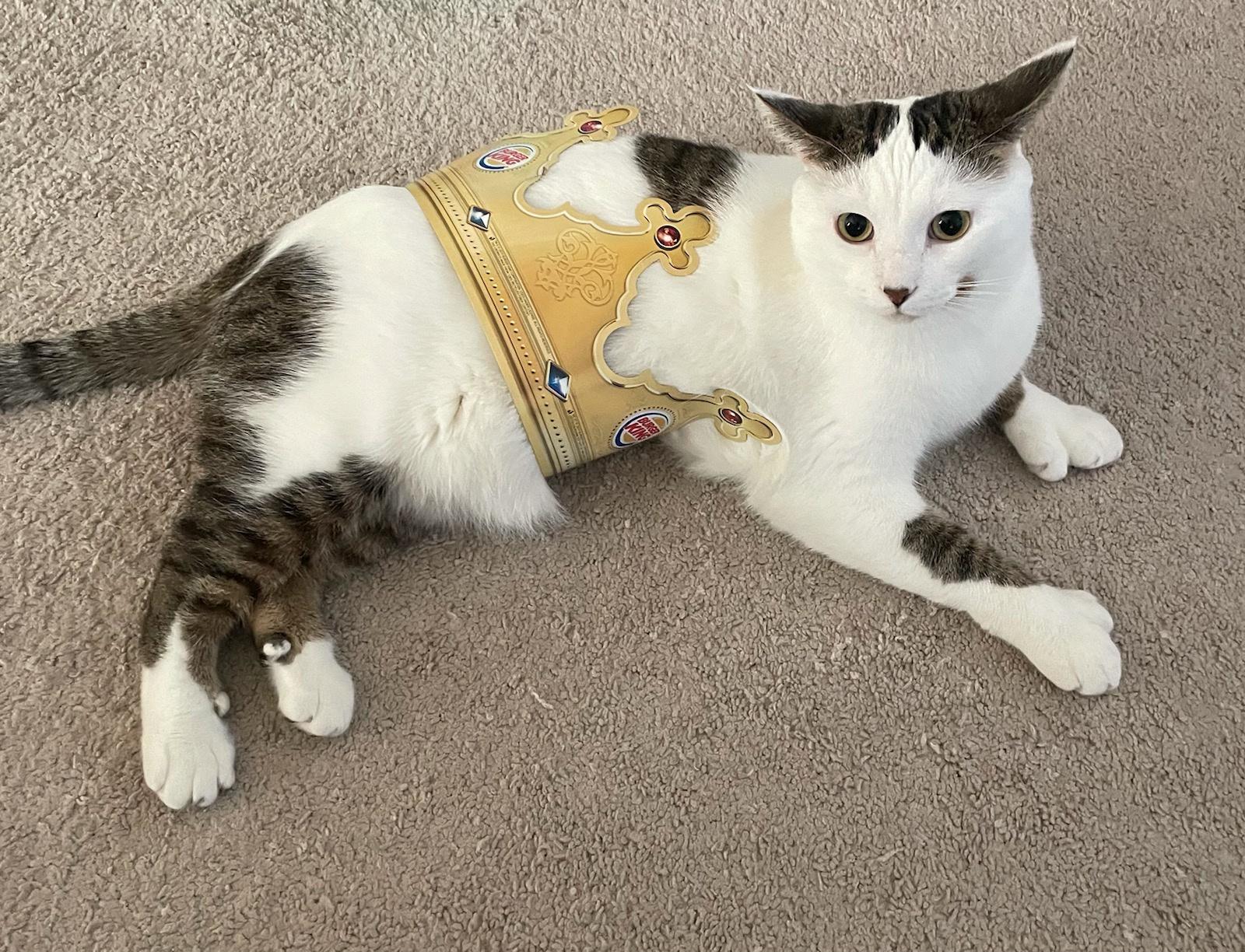 Mr. Thumbs wishes you a good Sunday