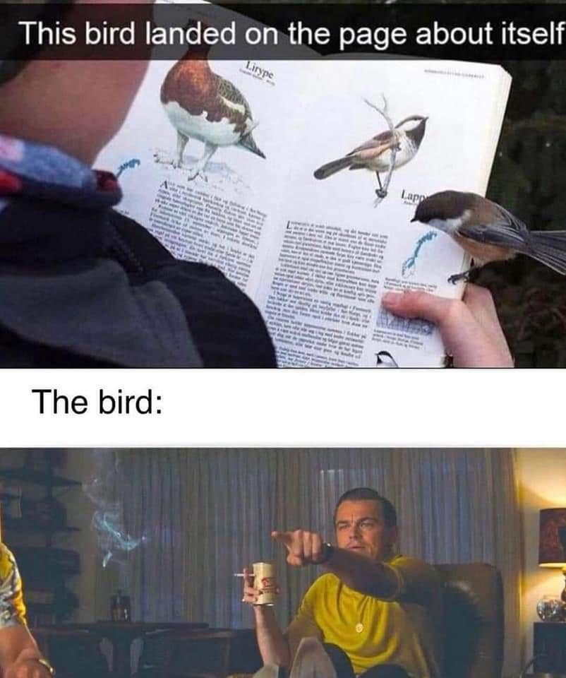 Have a great Monday Imgur!