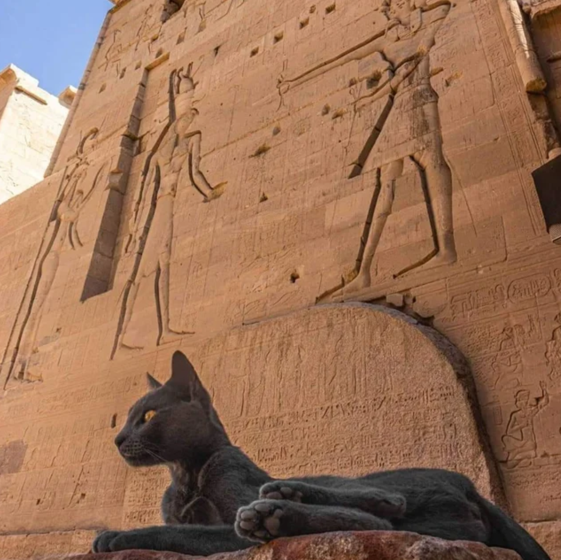 A picture of a cat in front of an Egyptian temple.
