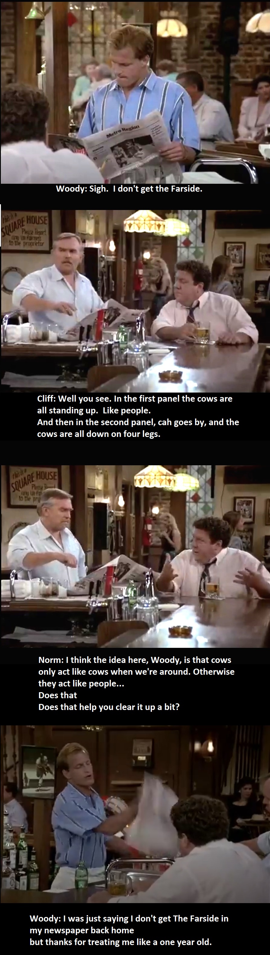 I made a panel cartoon describing another panel cartoon.