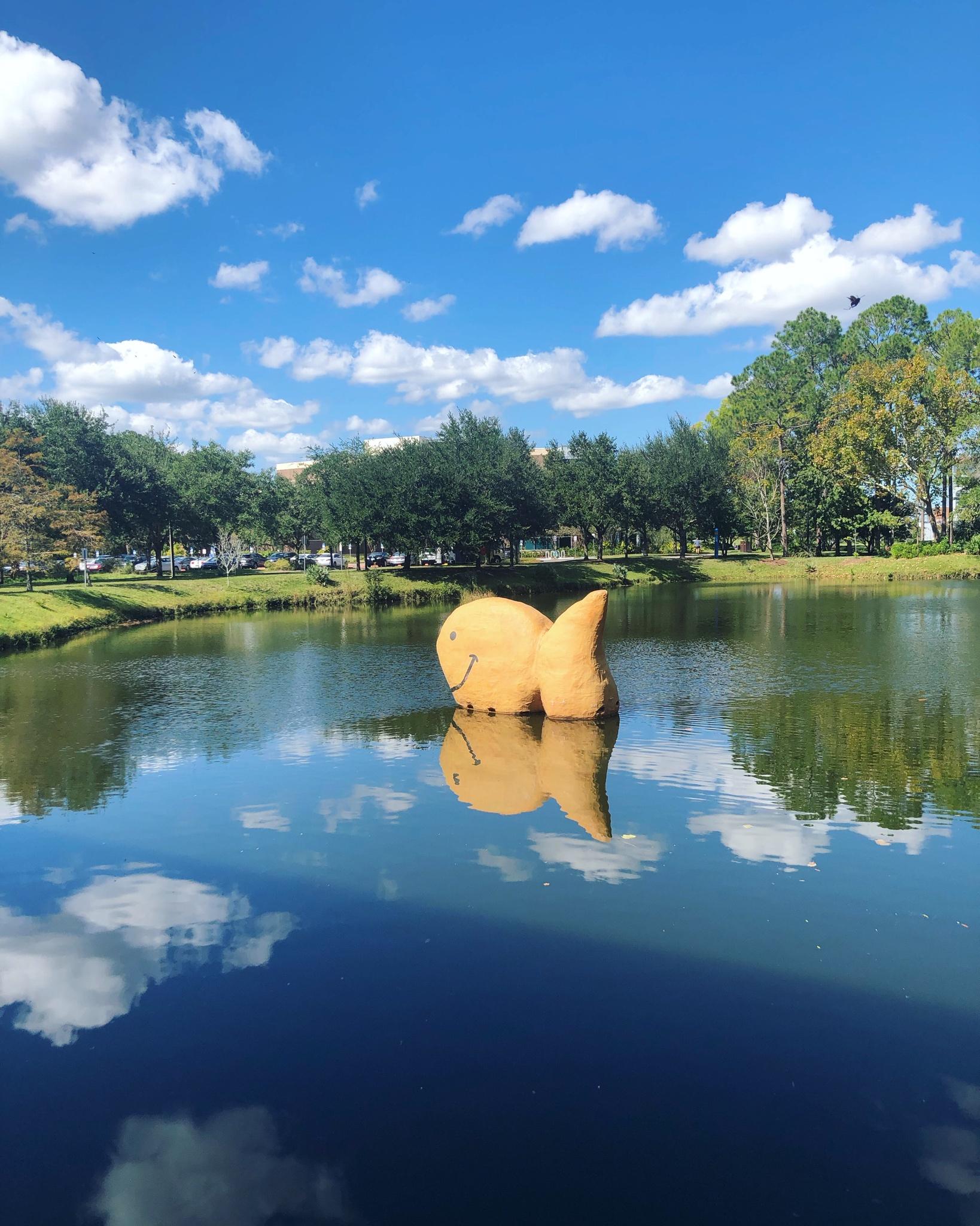 the engineering students made a floating concrete goldfish for a pond on campus