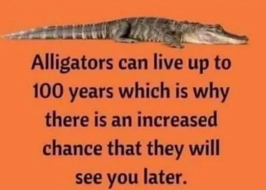 It makes all sense now...