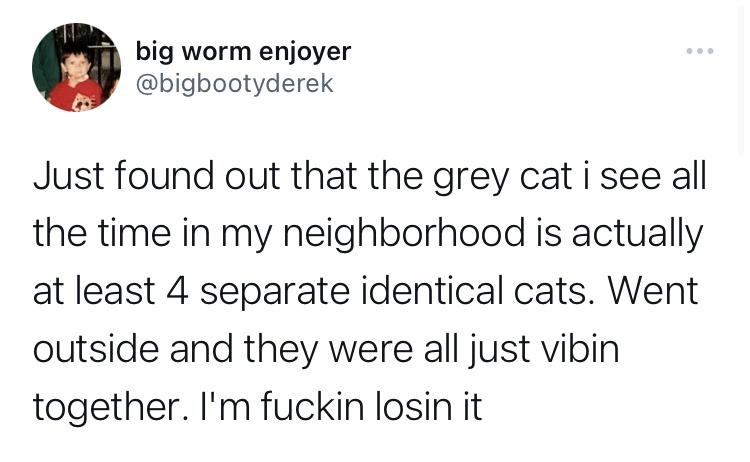 A cat is never just a cat&hellip;