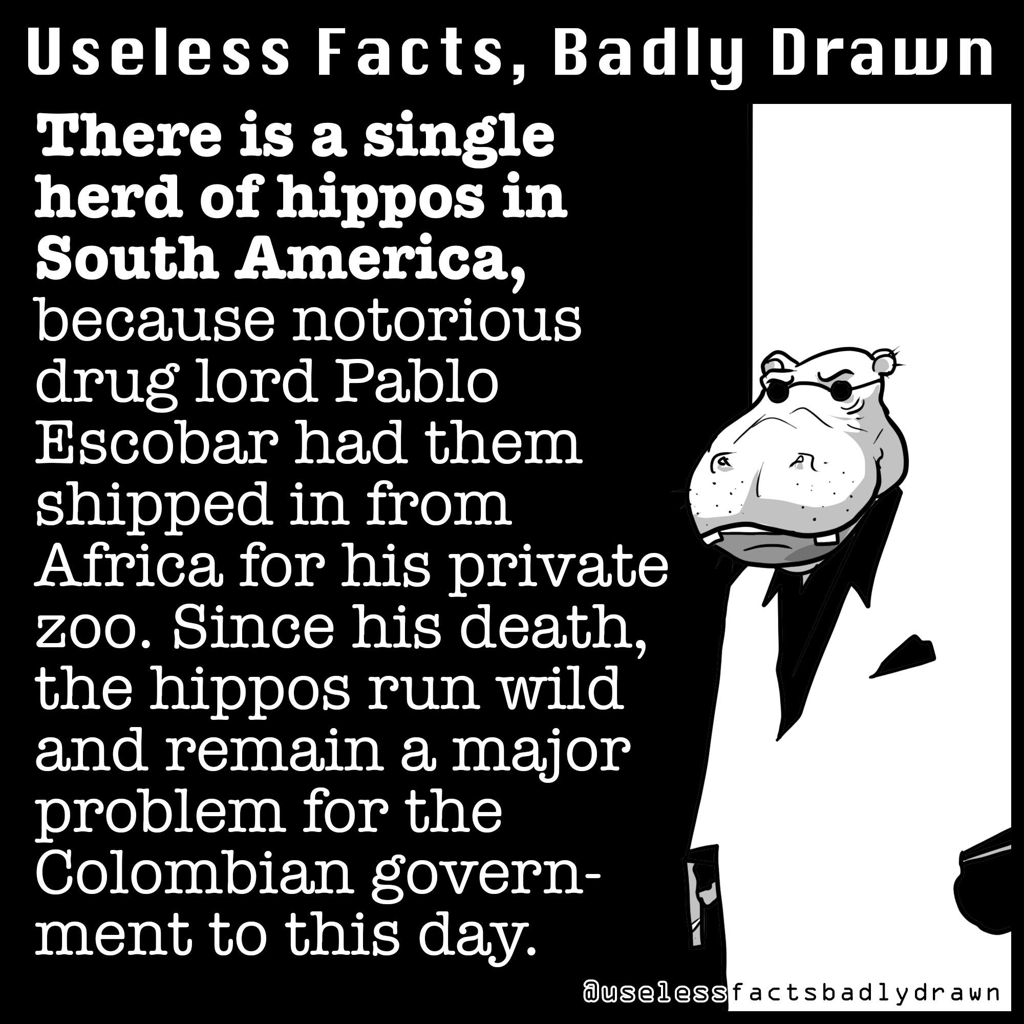 Useless Facts, Badly Drawn for your Monday