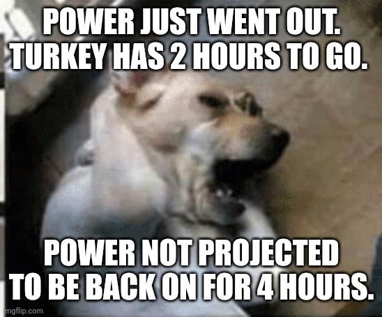 Happy Thanksgiving from the BeetBoxer family to yours!