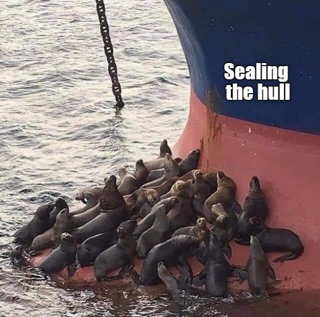 This Looks Like A Good Place To Rest