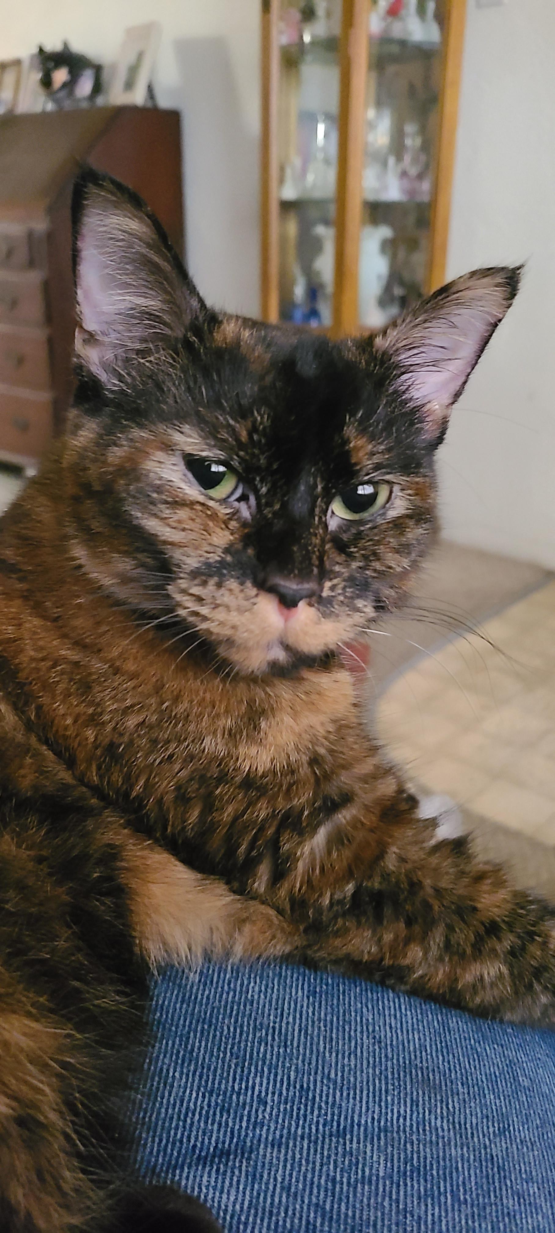 An actual American patriot.