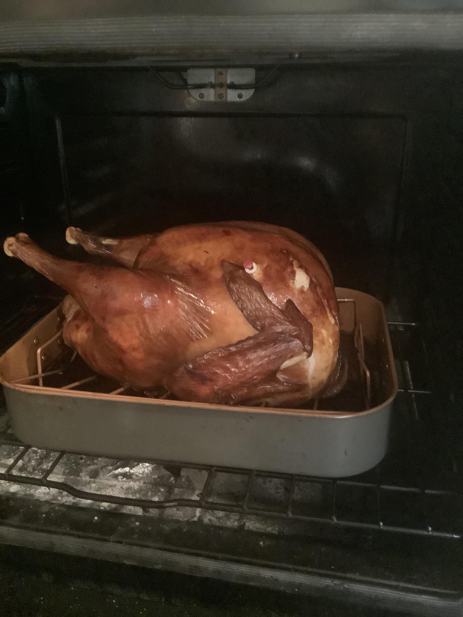 Any one lonely in DFW