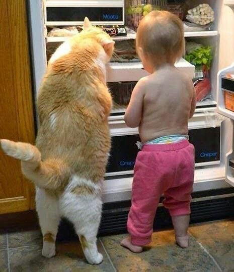 I'll take some of this chicken and you take a yogurt since you don't have too many teeth.!!....