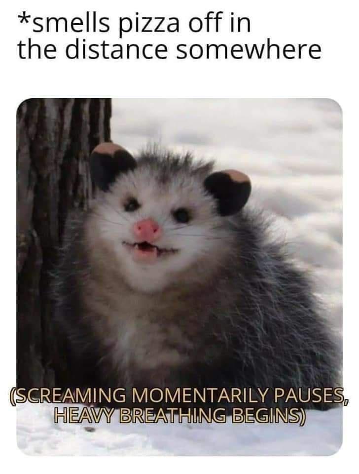 What I do have is a particular set of memes. Memes I have acquired over over a very long meme career.