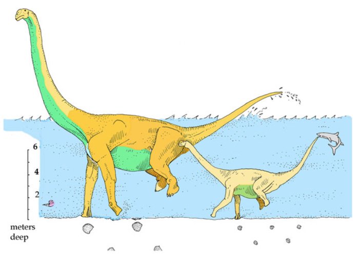 Floating Dinosaur Ass Hypothesis