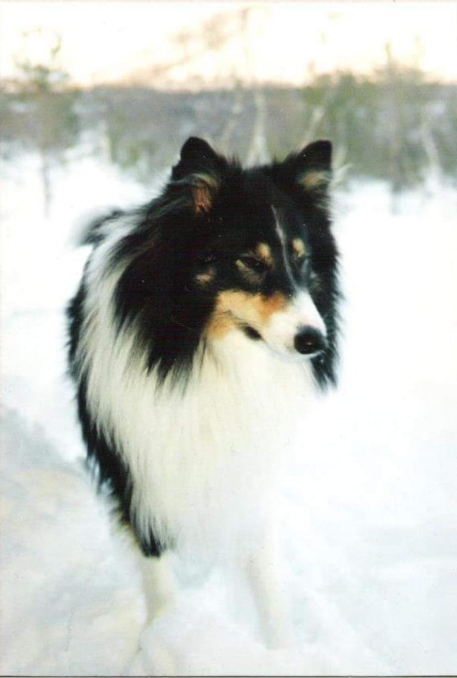 I still miss this one so much...