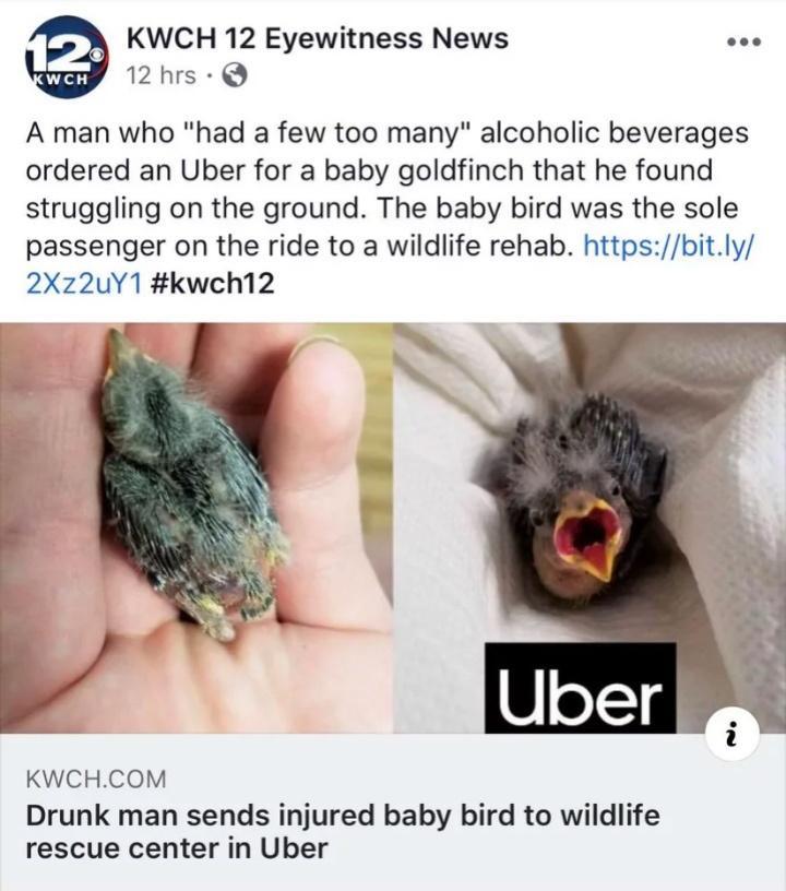 Consequences of a Meme Addiction, Dump 82