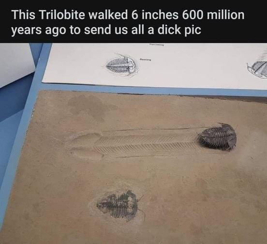 What a sense of humour