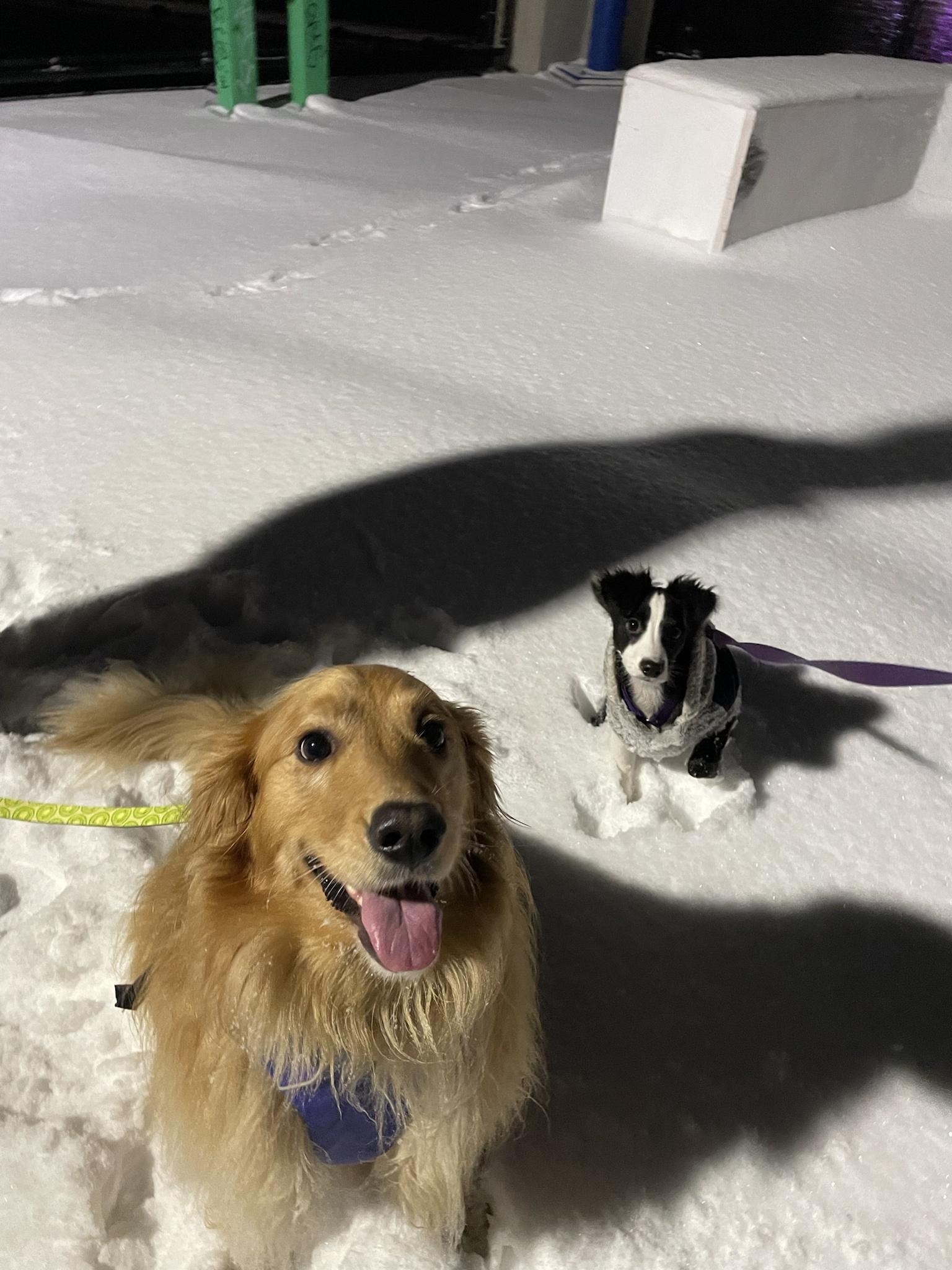 Penny and Tessi day #52