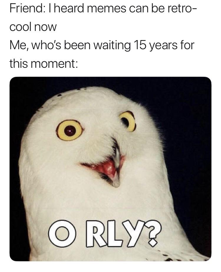 Memes Escaping Into The Wild 17 - With Fox Tax