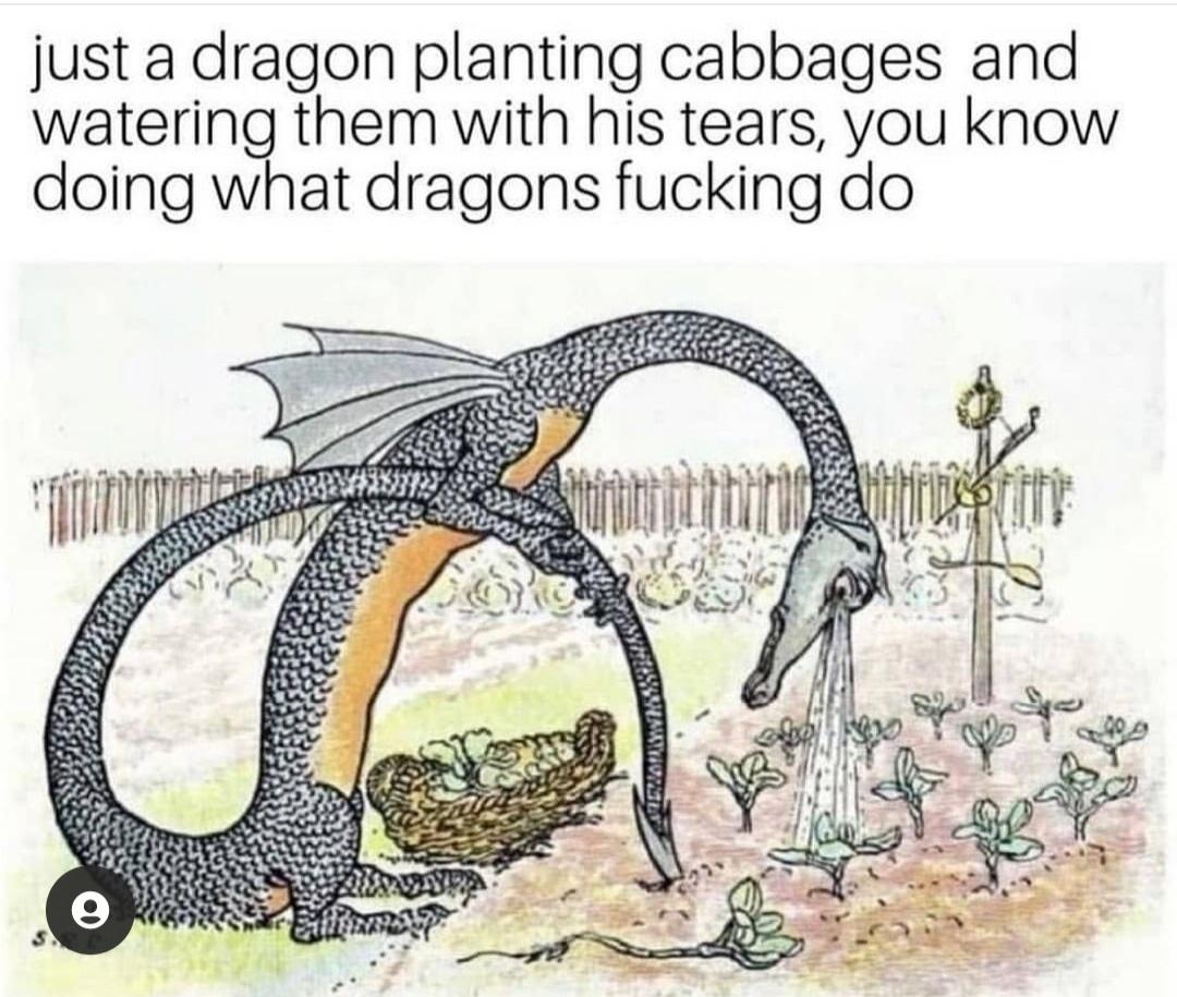 Just doing what dragons do
