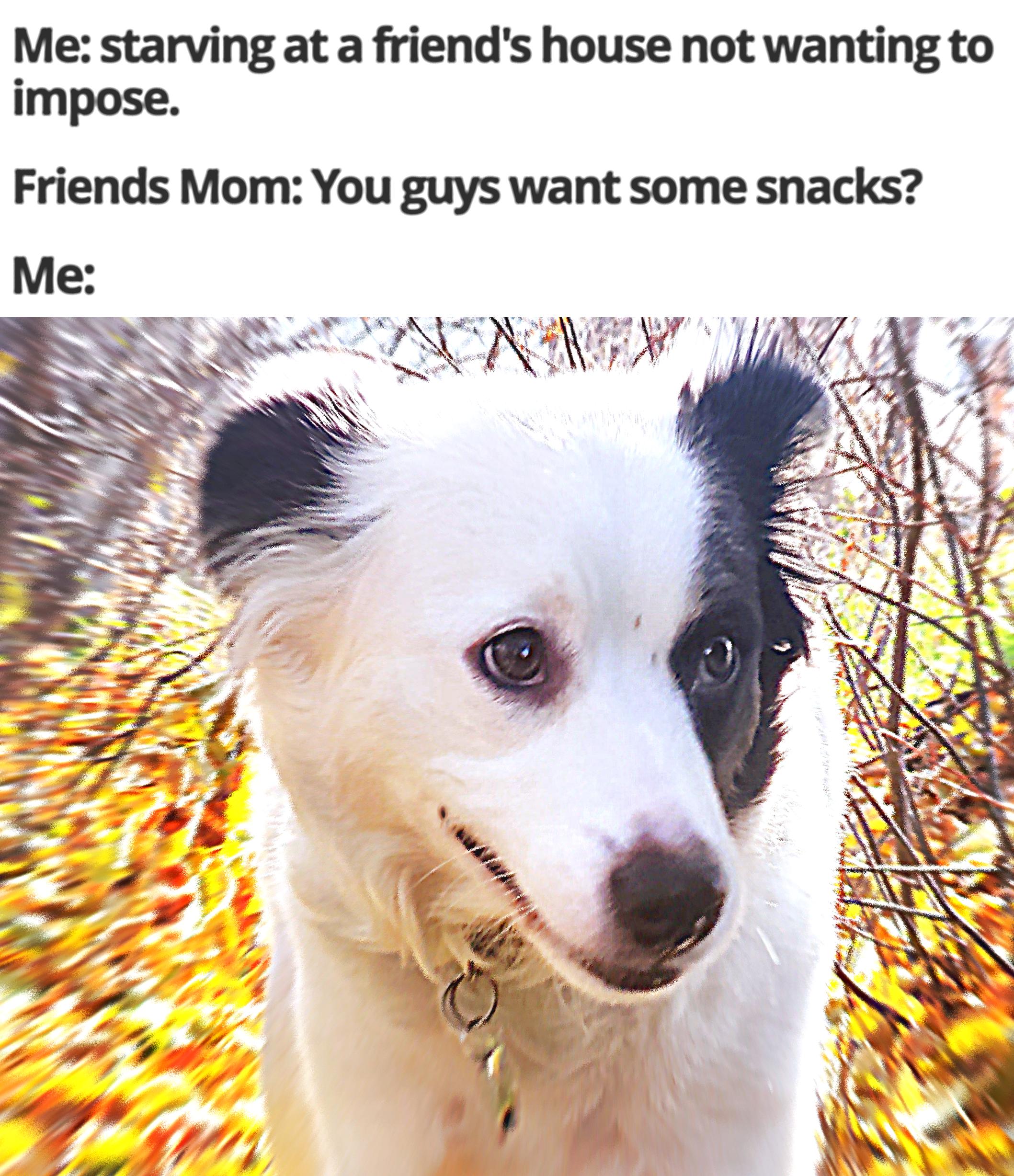 It do be like that sometimes.