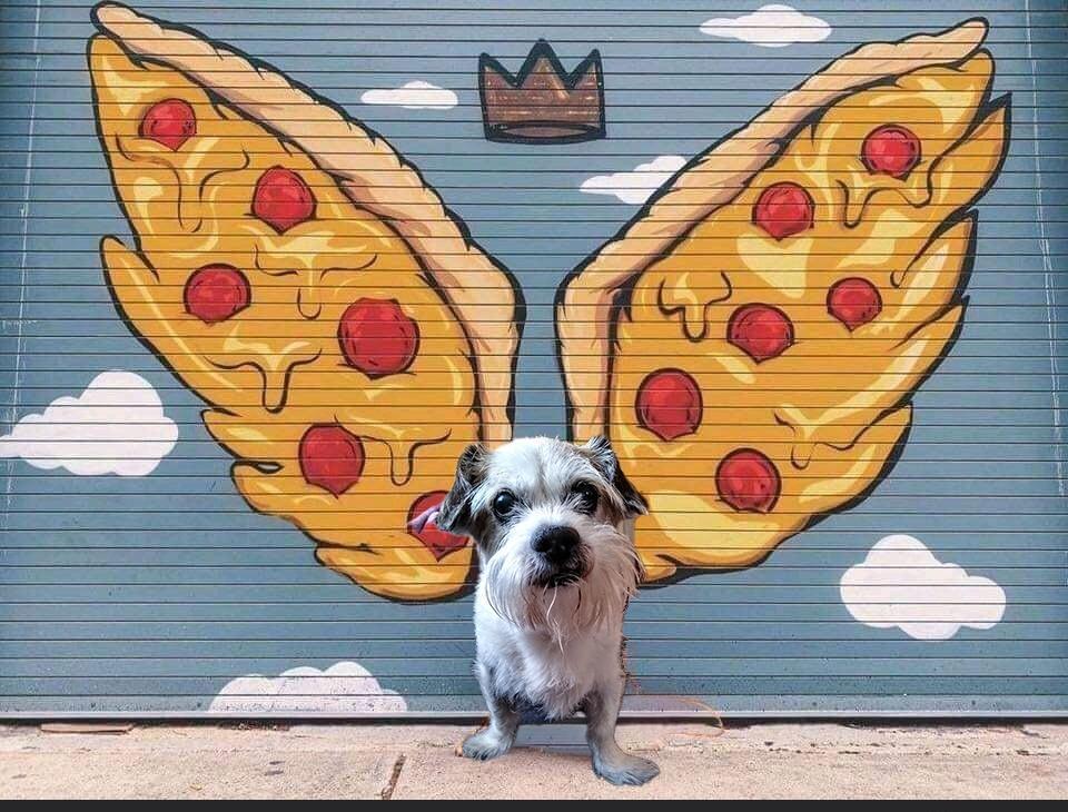 It's time for TheFreePizzaDude!