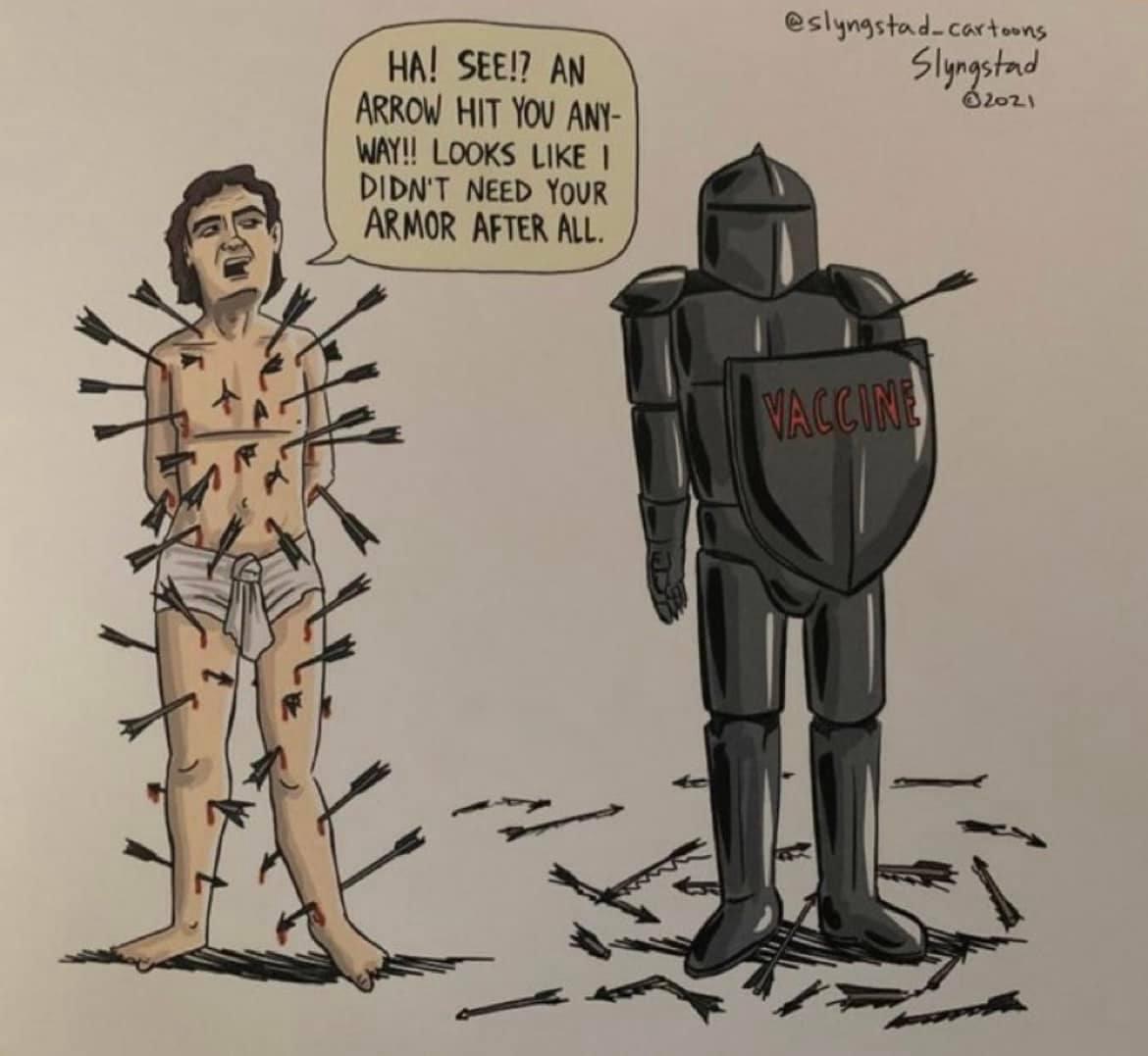 Vaccines explained for those who do not understand