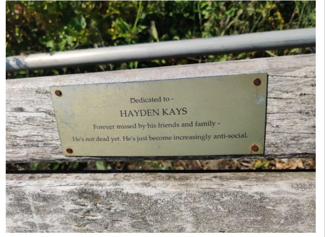 Fuck sake Hayden