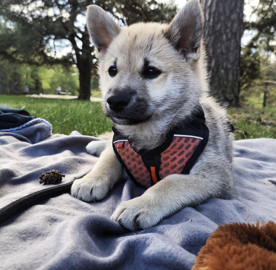 Felt cute might delete later