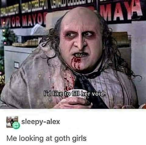 17 pictures of my dongadong