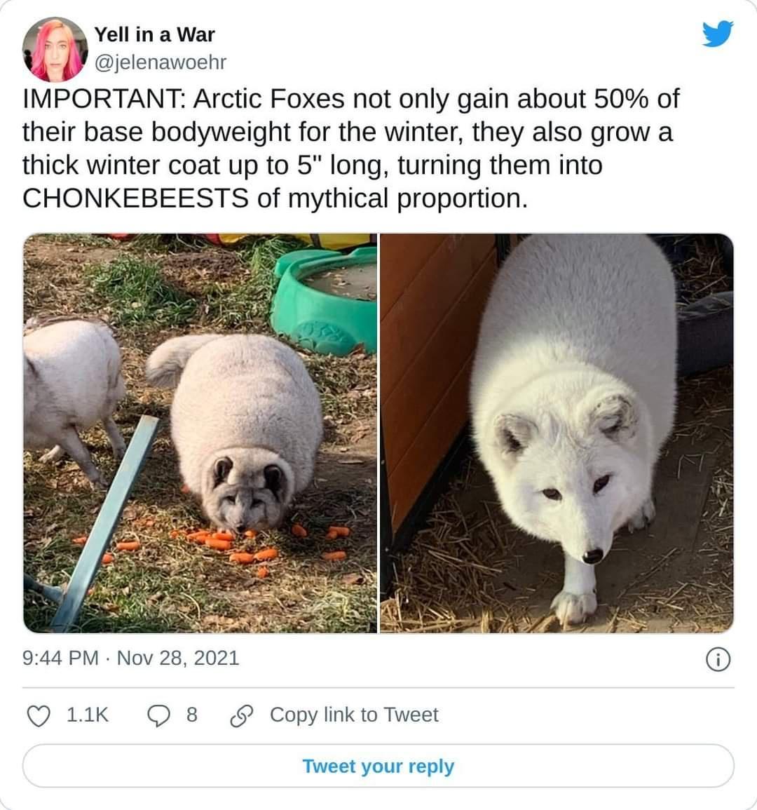 Have a great Saturday Imgur!