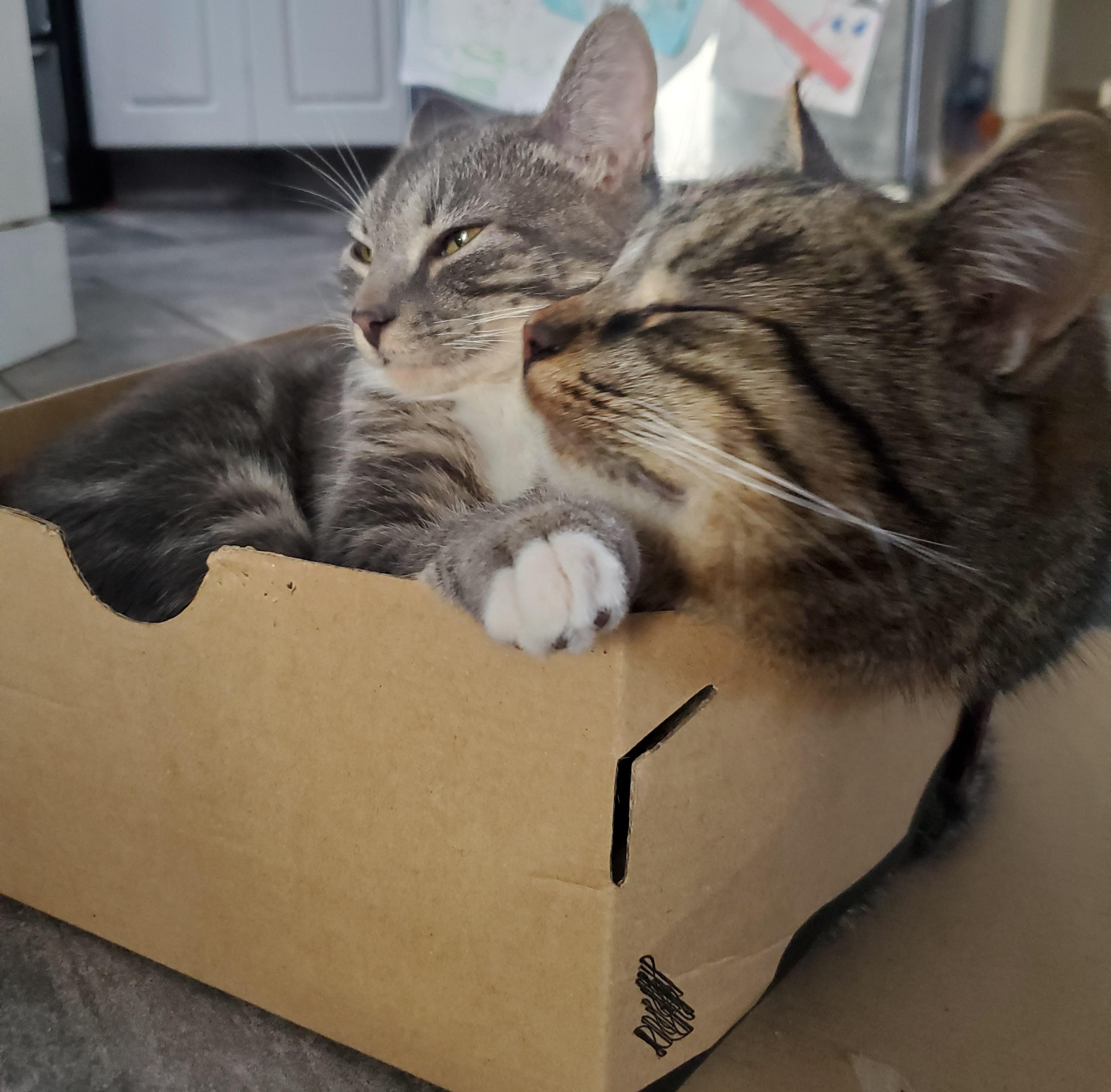 Really outstanding Secret Santa gift!