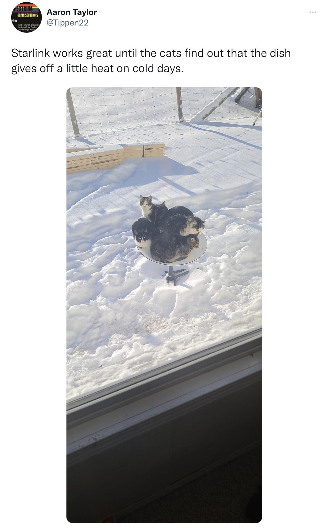 I bet this wasn&rsquo;t mentioned in the Troubleshooting section of the manual