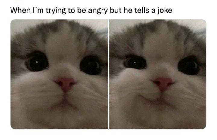 Meme redistribution dump, vol. 18