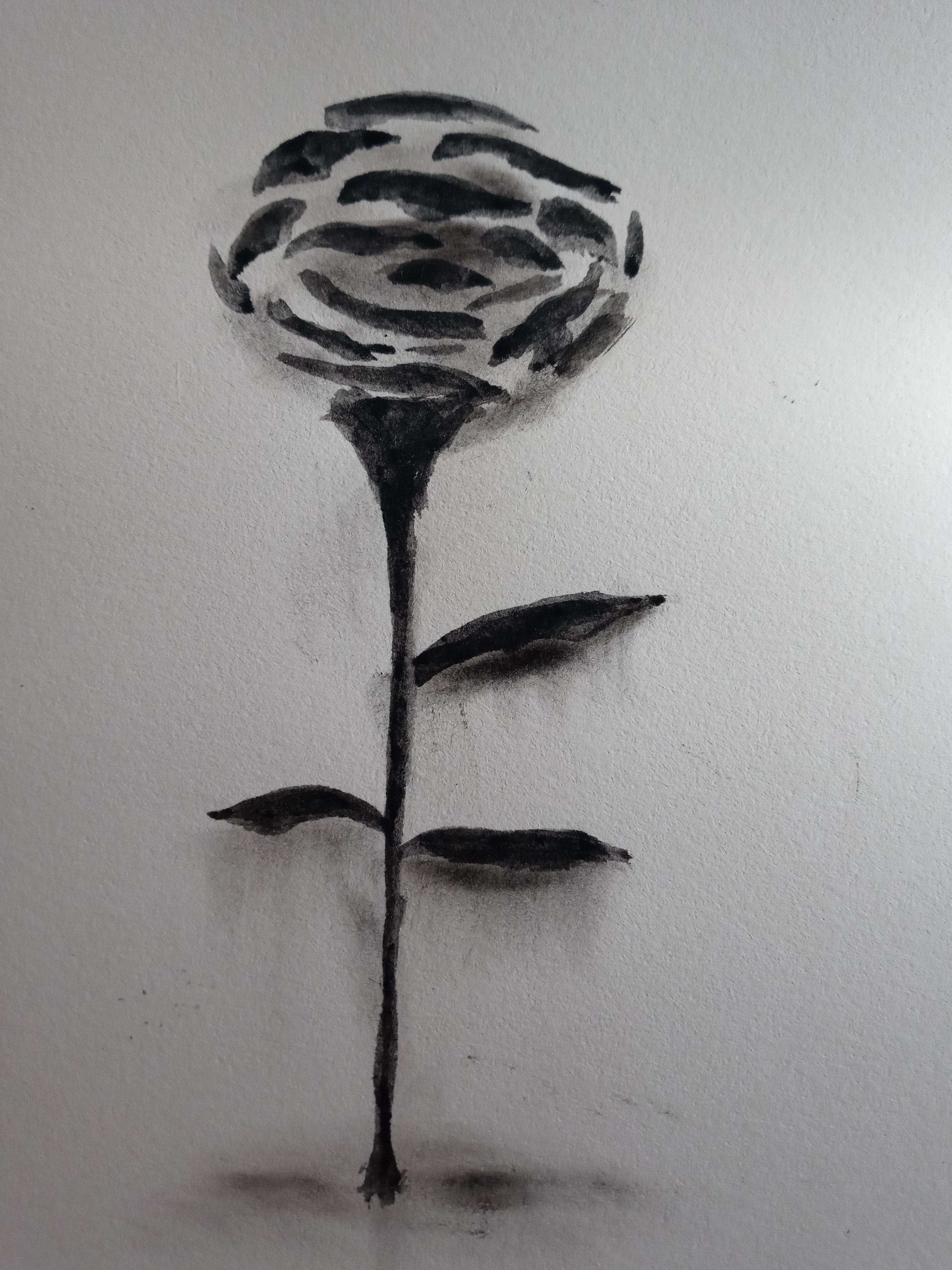 Can my 14yr old daughter get some love for her sketches? So proud of her!!