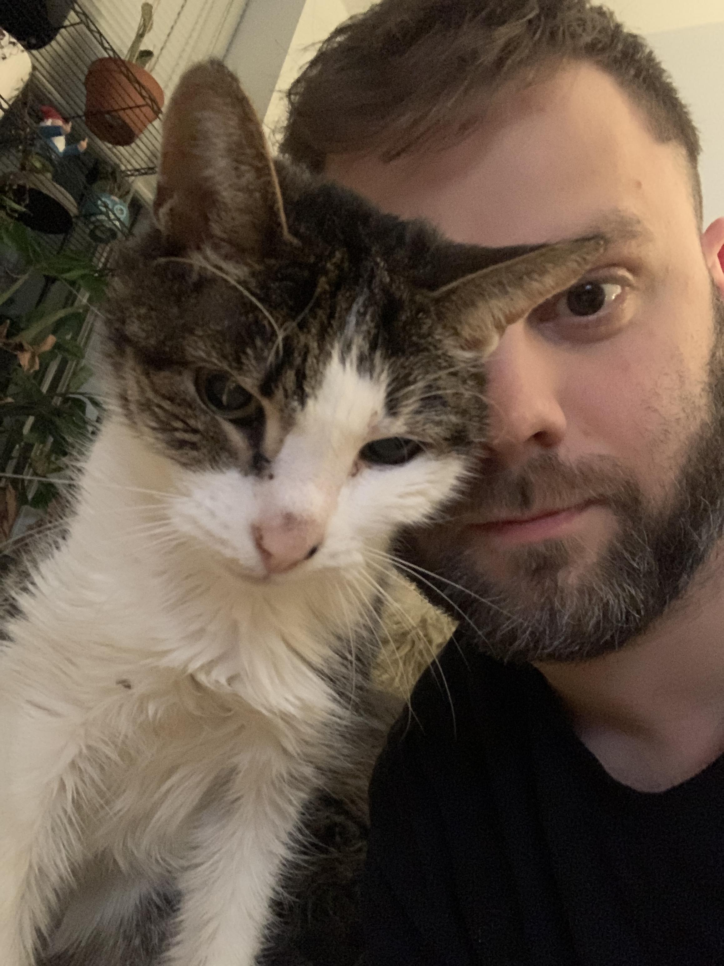 Iris Crossed the Rainbow Bridge