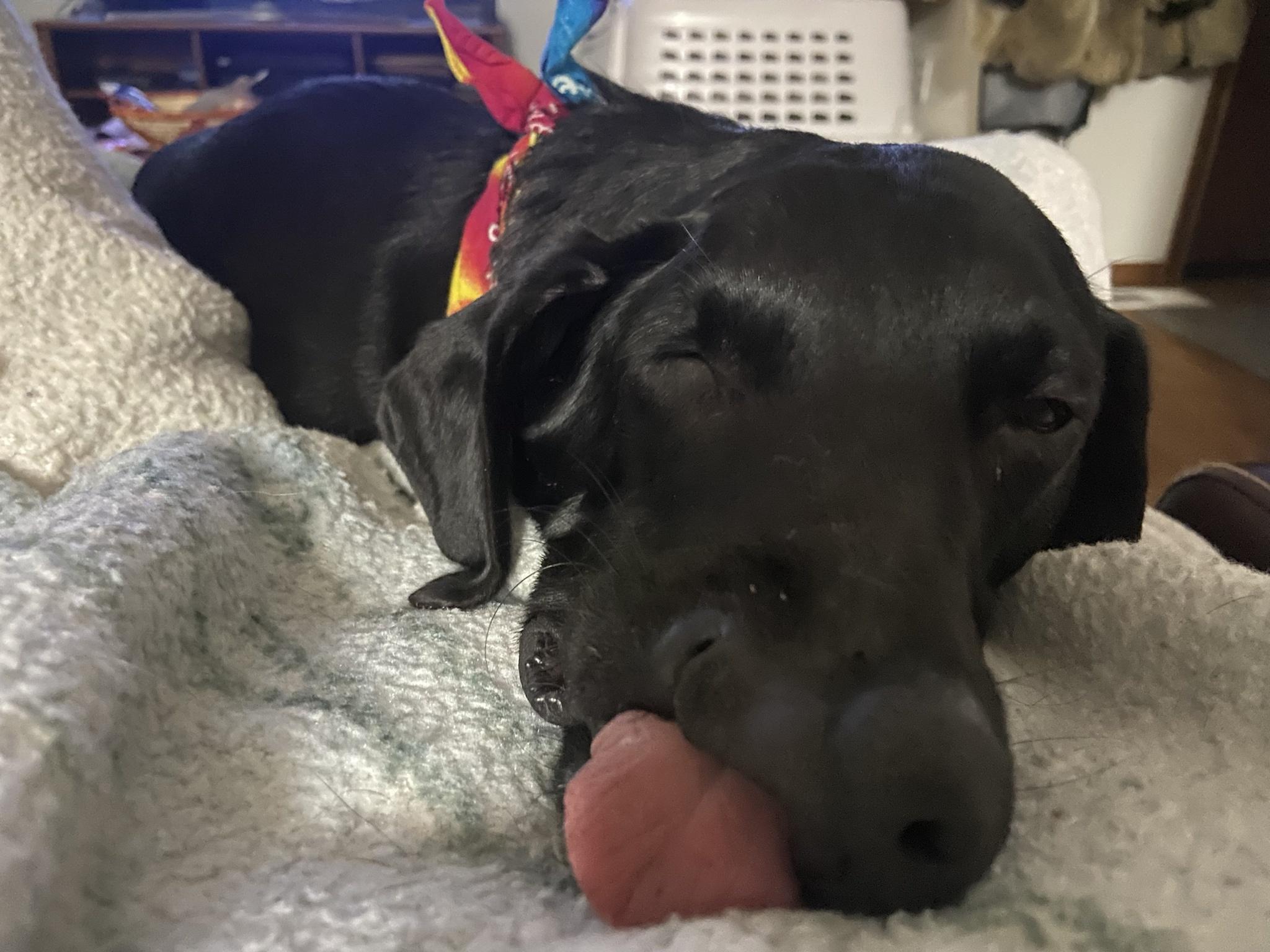 It&rsquo;s Felix Friday! I feel this picture in my soul.