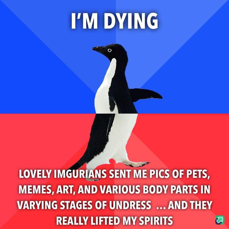 The body parts helped especially