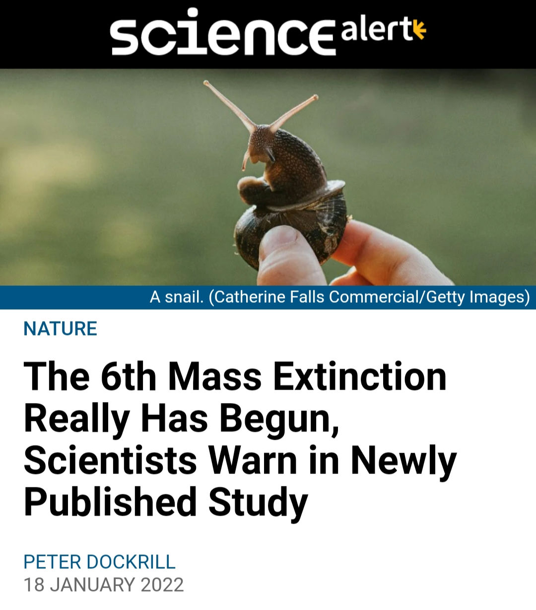 It's too late to stop it