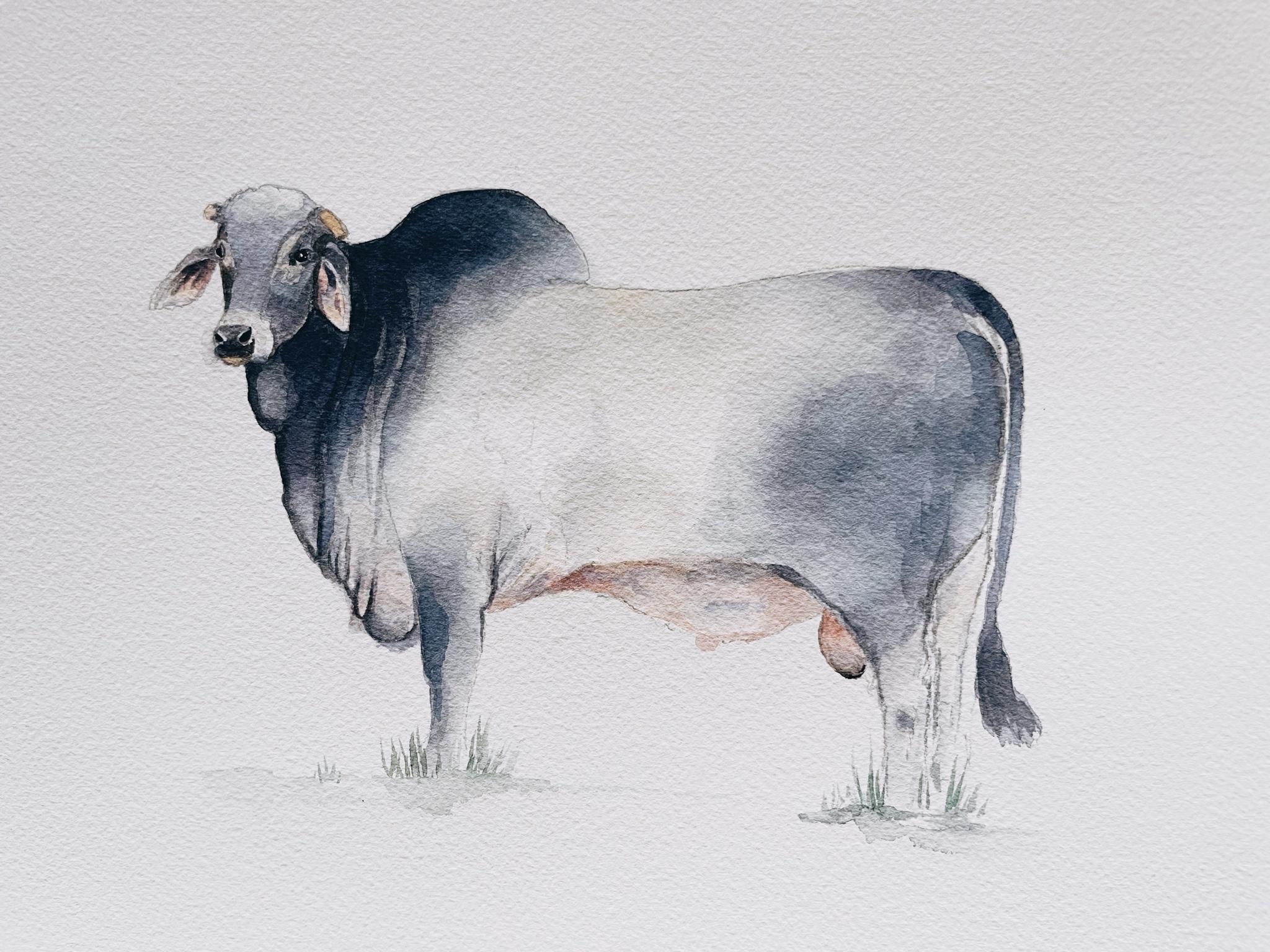 I&rsquo;m painting cows now, I guess