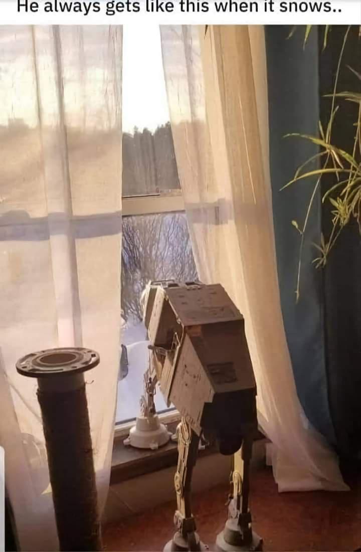 Let's go for a walk!