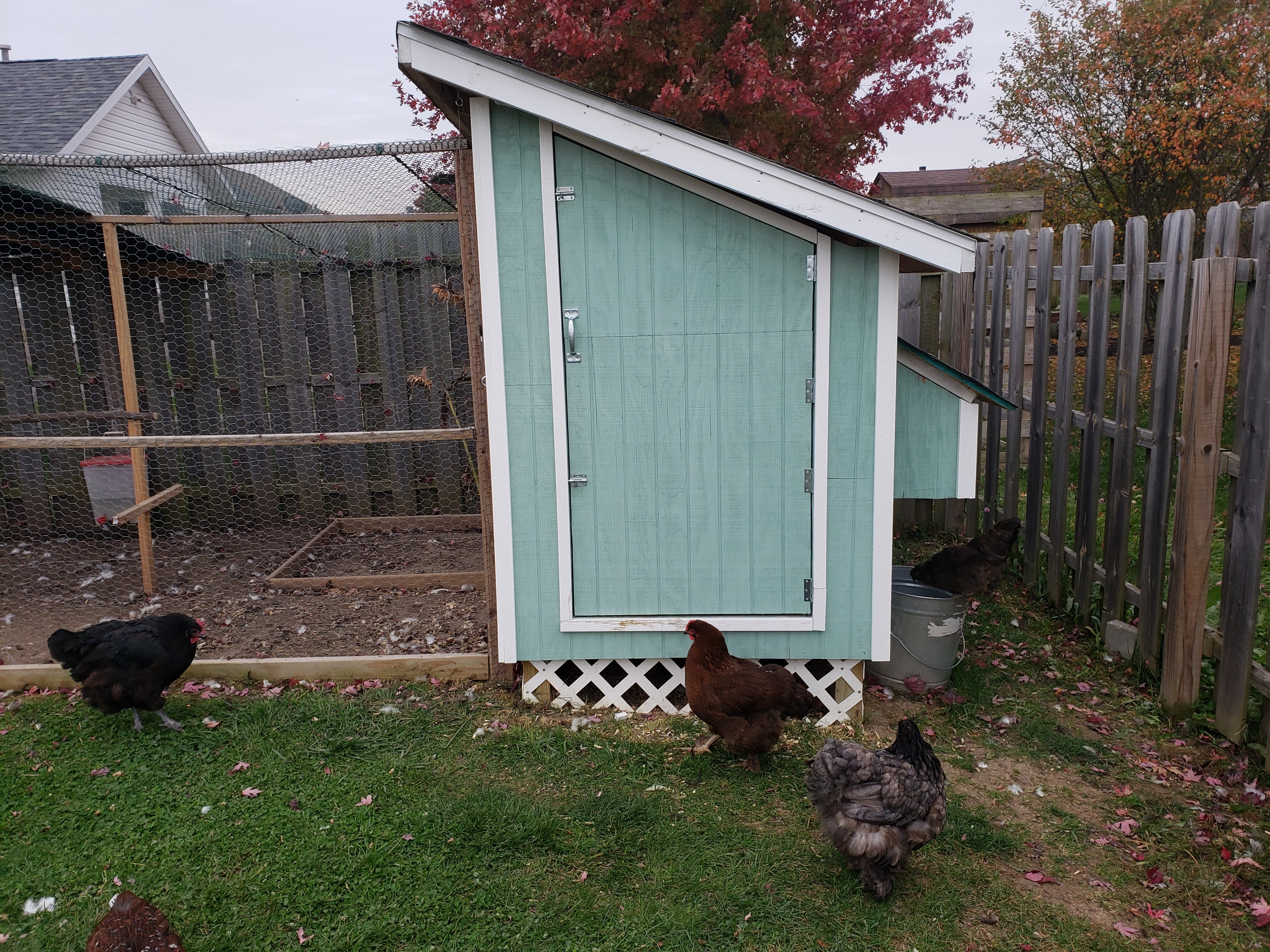 My 1st Chicken Coop Build