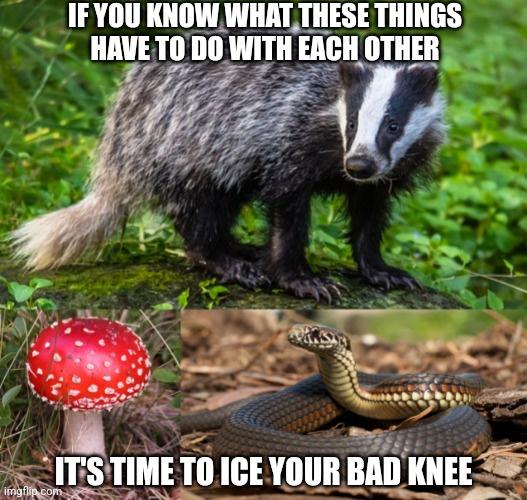 Don't even start singing Magical Trevor.