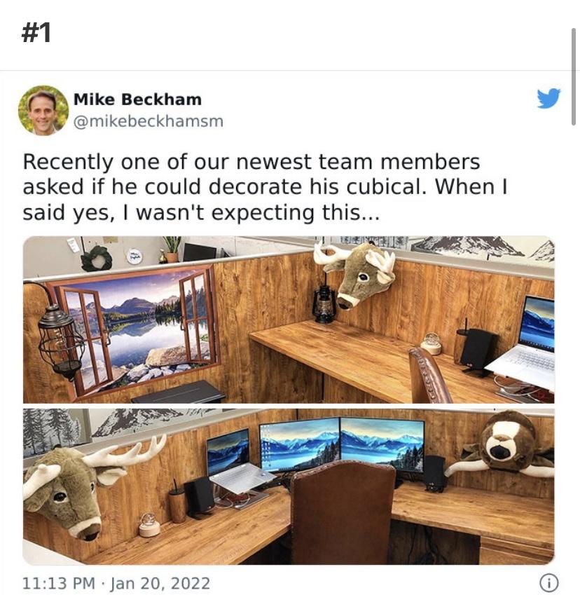 Cubicles living their best lives.
