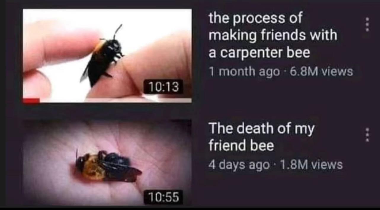 Damn they pass so fast