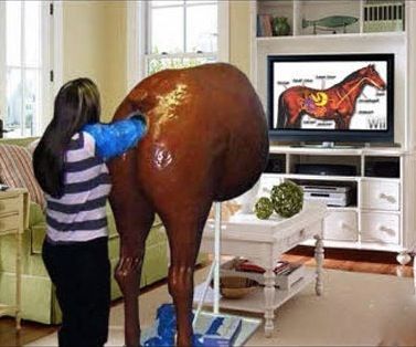 Veterinarian Trainer?