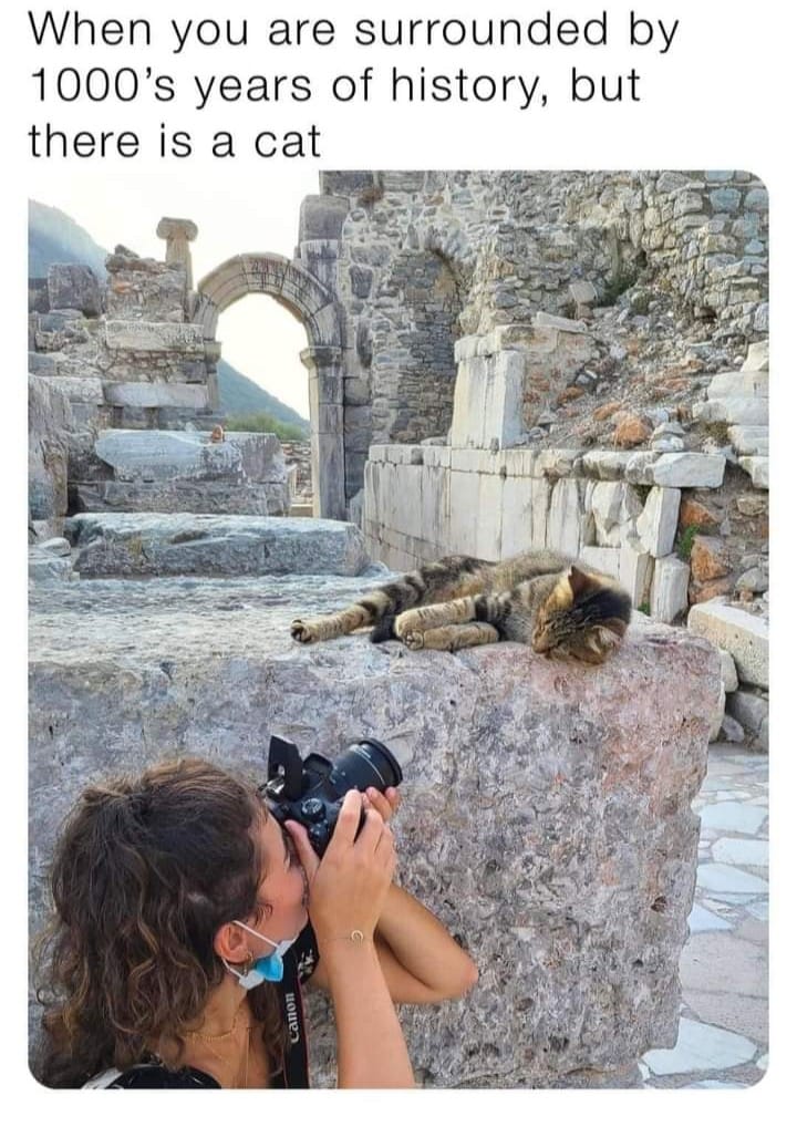 I see nothing wrong here.