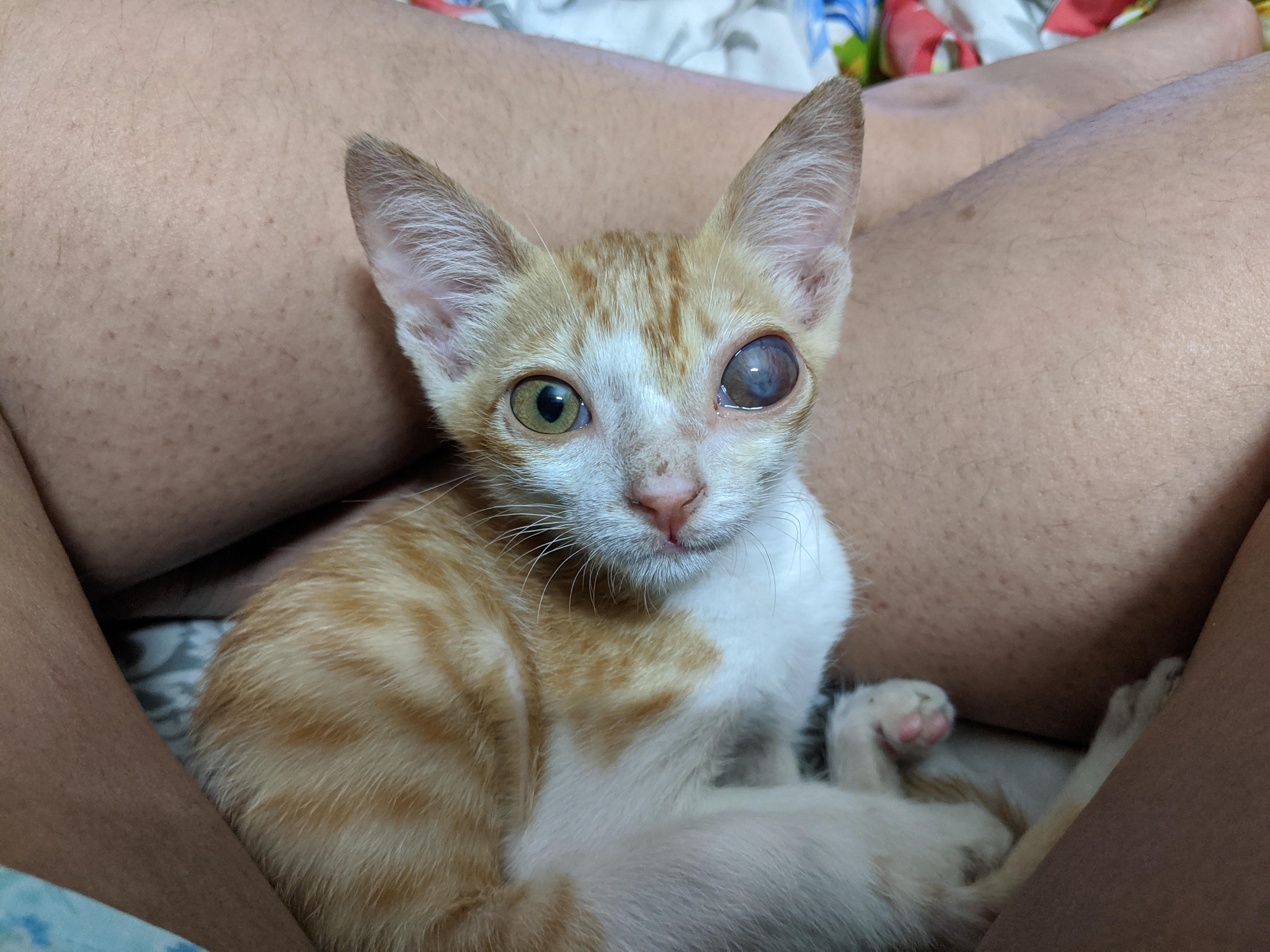 The difference 2 years can make.