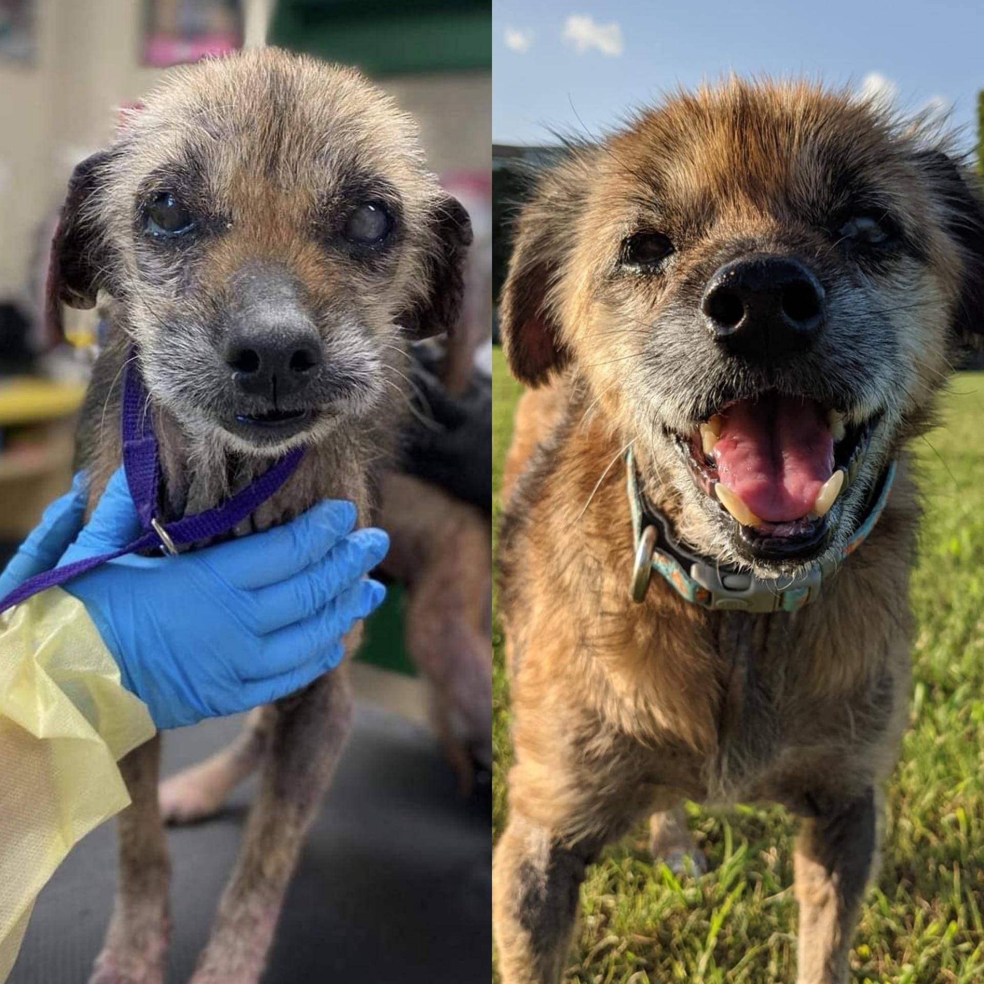 A Puckett family birthday