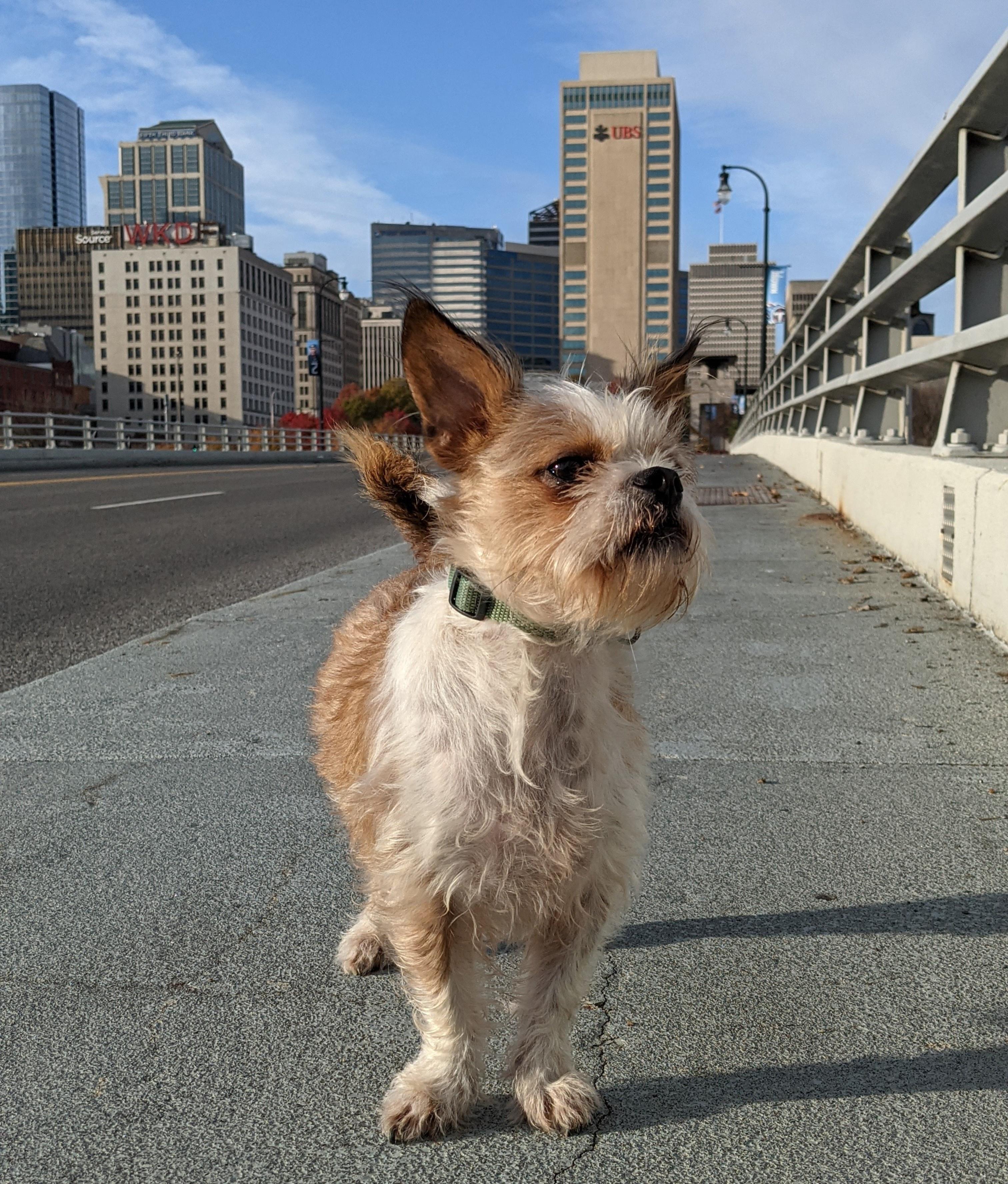 Big day for a little Puckett